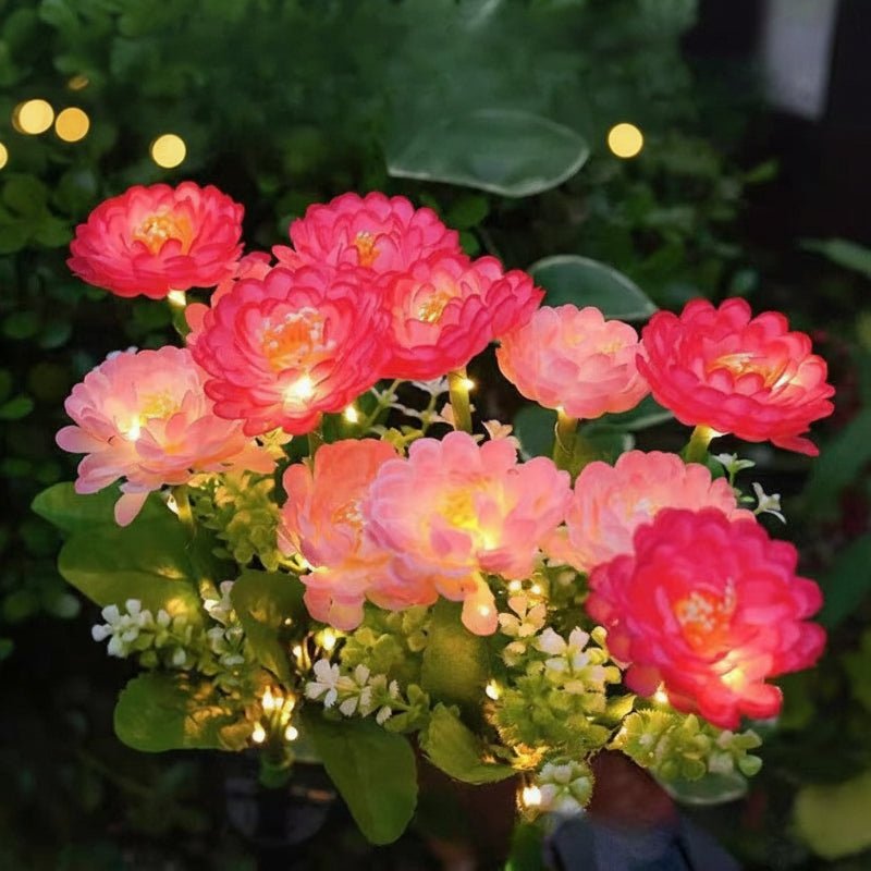 The Rarest Flower in Your Garden Glows at Night — Meet the CEgarden Solar Saussurea Light - CE GARDEN